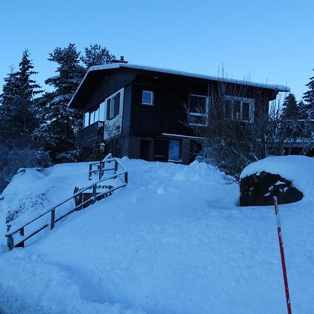 Gite "Les Essis" Gérardmer Kültér fotó
